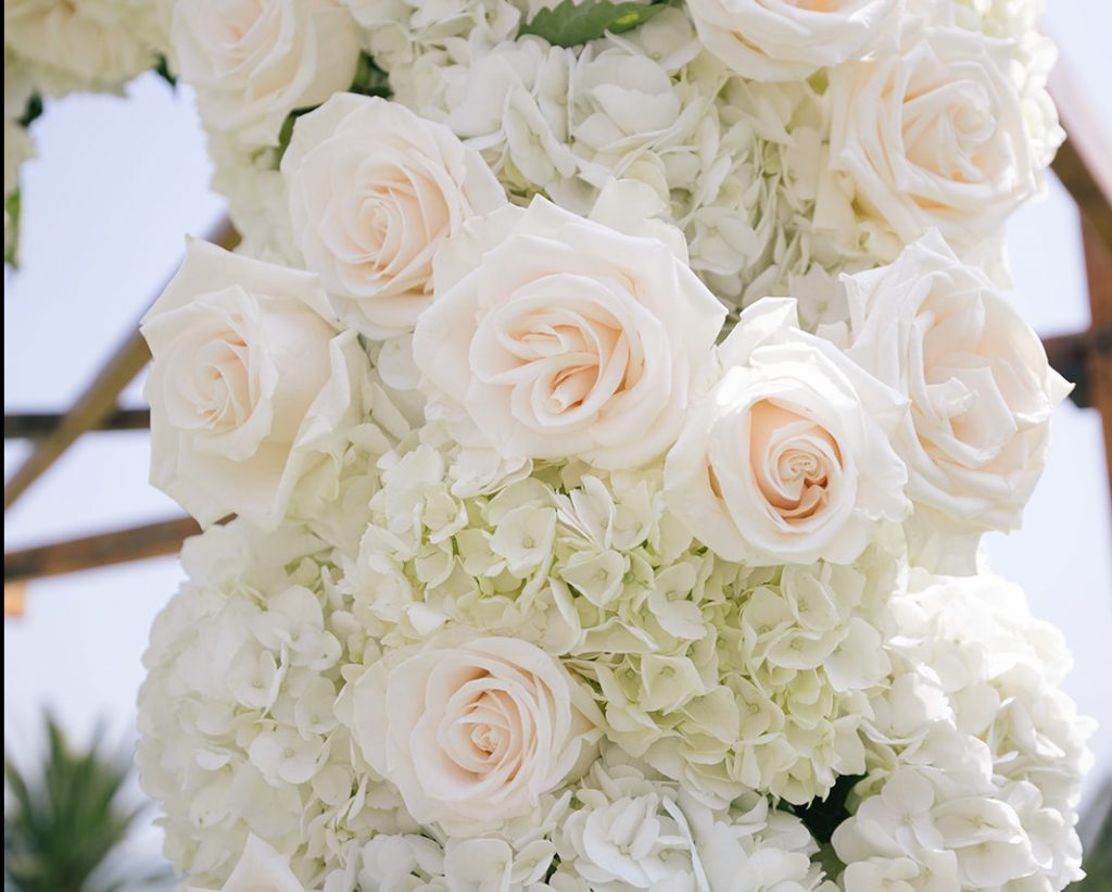 white roses and hydrangea