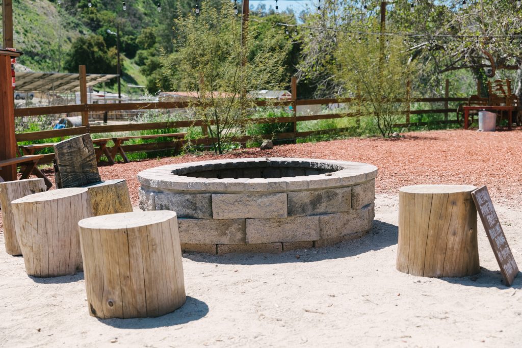 outdoor fire pit and wood stumps