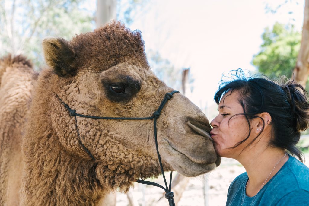 women kissing camel at reptacular ranch